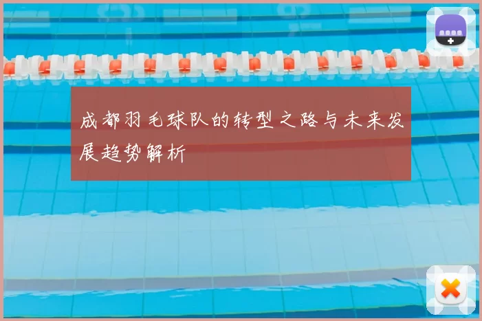 成都羽毛球队的转型之路与未来发展趋势解析