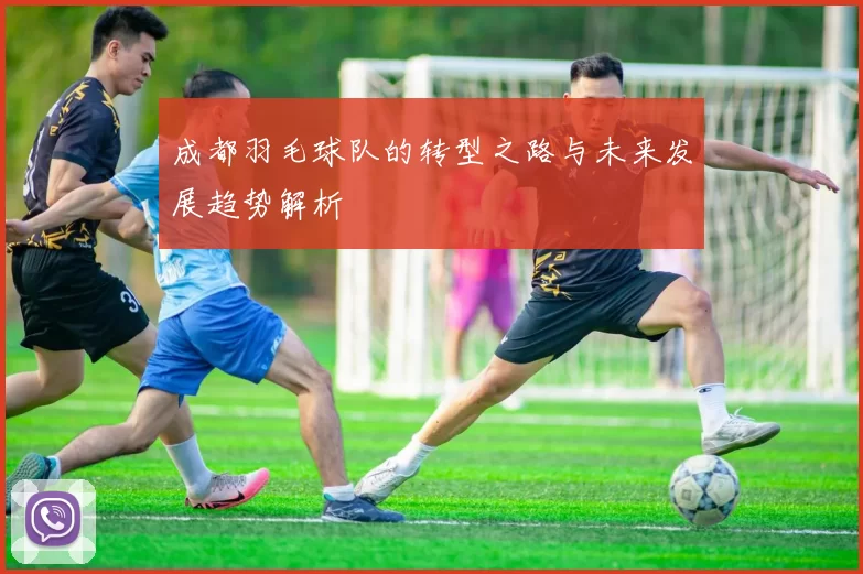 成都羽毛球队的转型之路与未来发展趋势解析