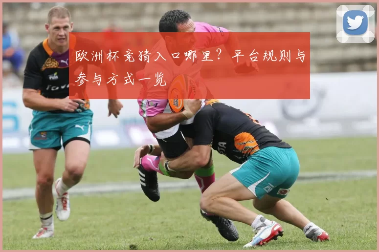欧洲杯竞猜入口哪里？平台规则与参与方式一览