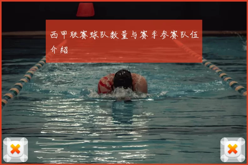 西甲联赛球队数量与赛季参赛队伍介绍