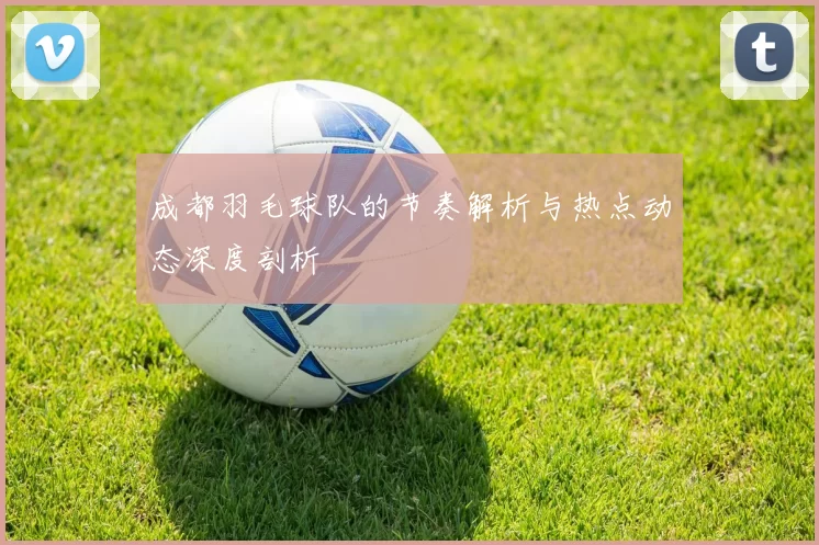 成都羽毛球队的节奏解析与热点动态深度剖析