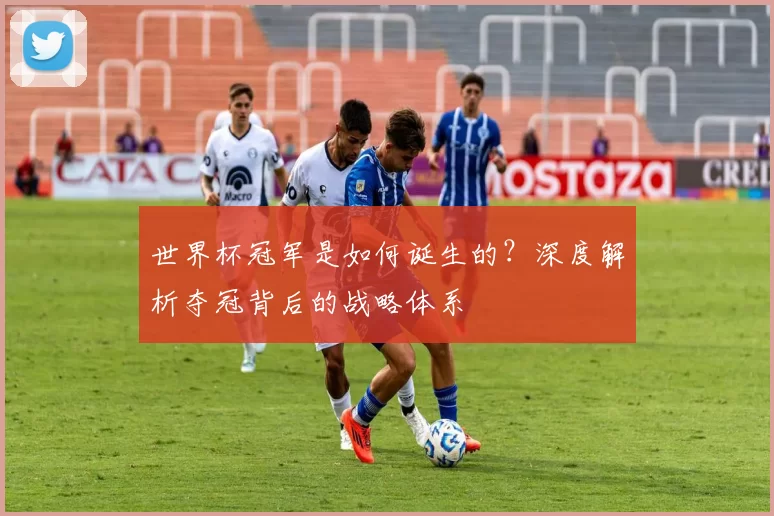 世界杯冠军是如何诞生的？深度解析夺冠背后的战略体系